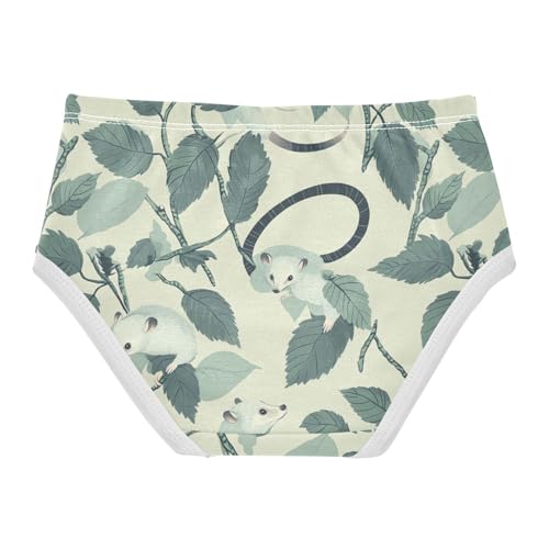 Wusikd Opossums Girls' Underwear Cotton Girls Briefs Soft Toddler Underwear 2T2
