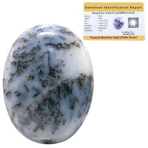 Image of Certified Dendrite Opal Crystal Palm Pebbles Stones for Anxiety Stress Relief Massage - AAA Grade Original Healing Gemstone Agate Palm Stone for Yoga Meditation Spiritual Reiki Feng Shui