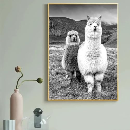 Impression sur toile alpaga noir et blanc cadre tableau mural 30x50 cm - 4