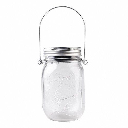 UniM Guirlande lumineuse solaire en bocal (bocal et poignée inclus), guirlande dextérieur à 10 lampes LED dans un bocal étanche à suspendre, pour un jardin ou à mettre sur une table. 1-Pack blanc