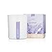 Thymes - Lavender Aromatic Scented Candle - Long Lasting Scent with Gift Box - 9 oz