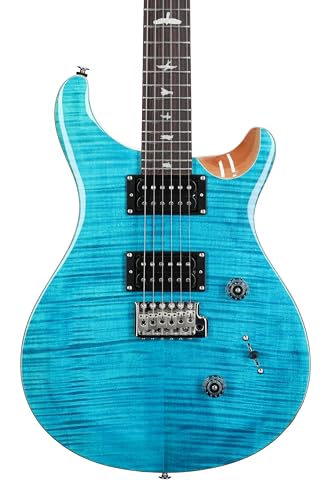 Image of PRS SE Custom 24 Exclusive, Blue Matteo Natural Back