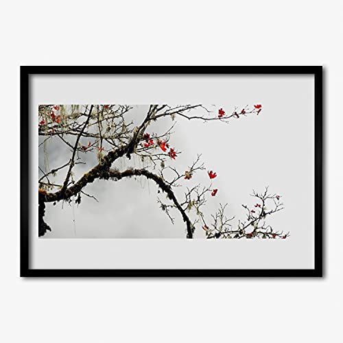 Affiche avec cadre image 70x50 cm plante pour habiller un mur vide de chambre
