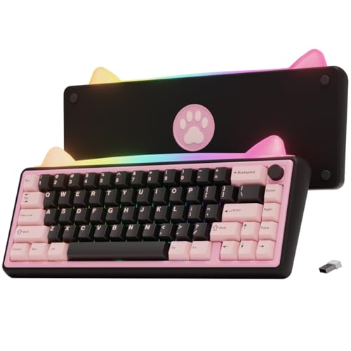 OOCTPK Chilkey Foxy65 Mechanical Keyboard with Knob, Gasket...