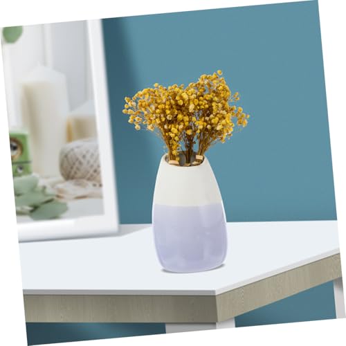 Ramo Natural de 6 Flores Secas Babys Breath para Decoración miniatura 6