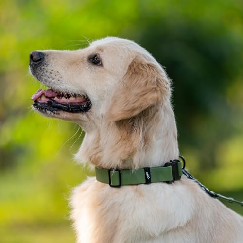 Image of Adil's Biothane Waterproof Dog Collar, Dog Leash & Collar Leash Combo | Heavy Duty TPU Coated Webbing | Adjustable Quick Release Buckle | Odour Resistant (Army Green, L-22, Collar Only)