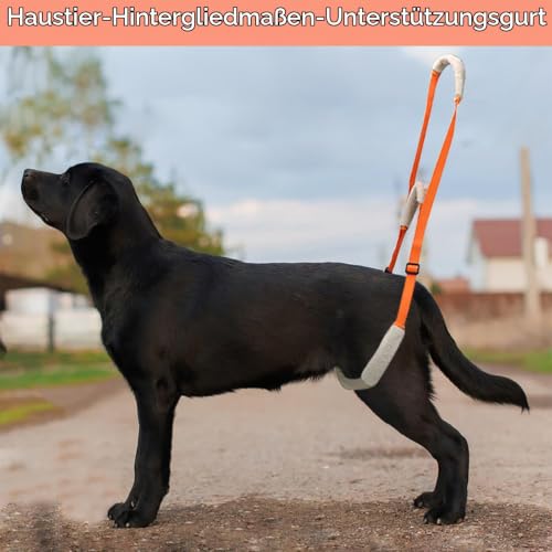 Hundegeschirr Grosse Hunde Gehhilfe mit Sicherheitsgurt - Tragehilfe für Kranke & Altere Hunde