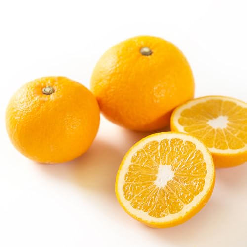 [先行予約]甘夏 約10kg 大小混合 [ご家庭用] 和歌山県産[Mg10] 海南市 まごころ産直みかん