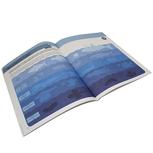 Kit Montessori com Atividades e Curiosidades