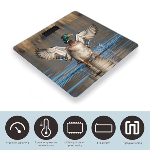 Báscula digital de baño con vidrio templado y pantalla LCD miniatura 3