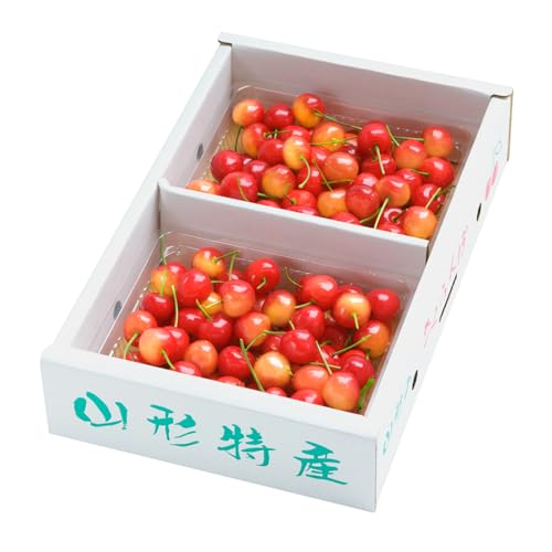 先行予約 2026年産 さくらんぼ 佐藤錦 秀Lサイズ 700g(350g×2パック) バラ詰め プレゼント ギフト バラ詰め 令和8年産 山形県産 ns-snslb700