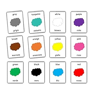 Italian English Bilingual Flash Cards | Laminated Flash Cards | Montessori Cards | Choose Your Set (Colors)