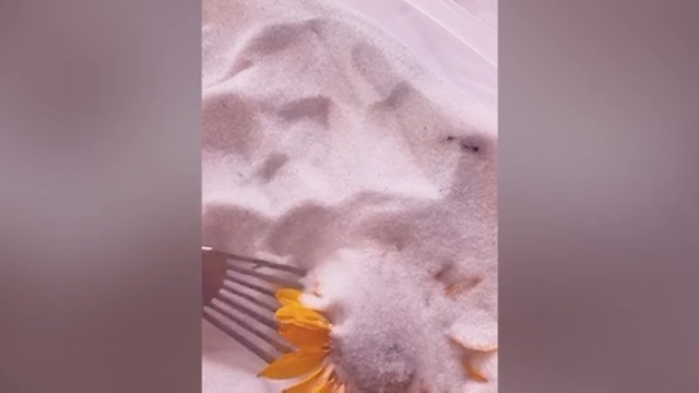 Activa Flower Drying Art Silica Gel, 4lb (1.81g) | Dry & Preserve Flowers with Confidence, Microwaveable & Reusable