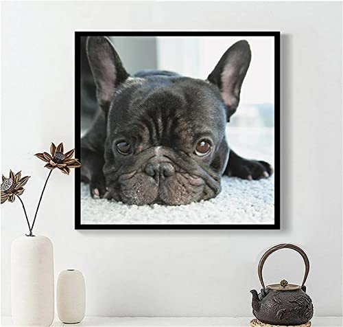 DIY 5D Diamond Painting kit, Round drill Bulldog Francese 20x20cm Diamante Pittura a Mosaico Picture Kit trapano completo cristallo Strass Ricamo a Diamante Arts Craft for Home Wall Decor Regalo