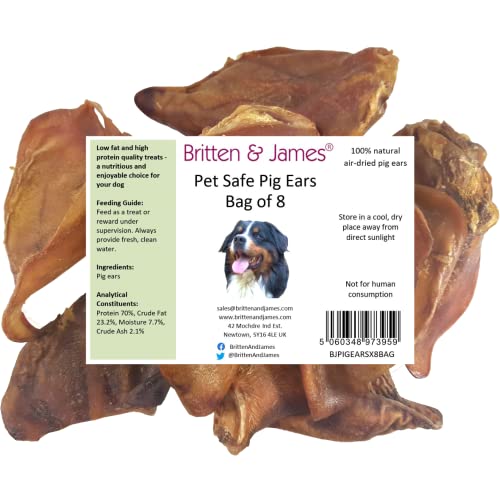 8 Large Pigs Ears for Dogs (Refill Bag). Natural Premium Quality British Product by Britten and James, Brown, 57.5 g (Pack of 8) - Image 2