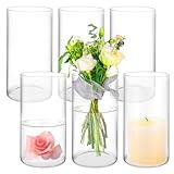Matériau de qualité supérieure : le vase cylindrique en verre est fabriqué en verre transparent, robuste, simple, élégant et moderne. Tous les côtés et le fond du vase à fleurs cylindrique sont épaissis, ce qui le rend plus solide, plus durable, étanche et plus facile à nettoyer que les vases ordinaires.