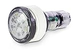Pentair EC-620429 MicroBrite White...