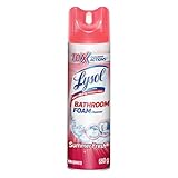 Lysol Bathroom/Toliet Cleaning Foam: Summer Fresh, 680 g