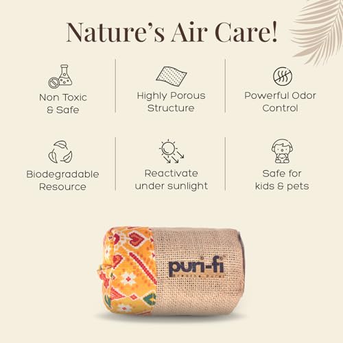 Image of Activated Charcoal Air Purifier, Non-Electric, Coconut Shell Charcoal, Odor & Moisture Absorber, Air Freshener for Home, Car, Reusable & Long-Lasting, 250 Gm (Yellow Maze)