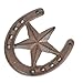 Parceria Cast Iron Horseshoe with Star Wall Decor, Vintage Metal Horseshoe Cast Iron Wall Art for Good Lucky, Stars Horse Shoes Decor for Wall Hung