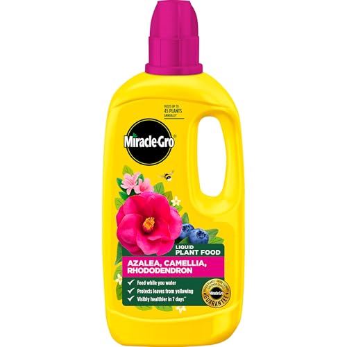 Miracle-Gro 121180 Azelia Camellia & Rhododendron Concentrated Plant Food 800 ml Natural