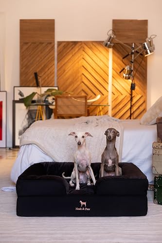 Image of NOAH & PAW Large Dog Bed, 35x25x11 Inch, Orthopedic Dog Beds, Eggshell Memory Foam Infused with Cooling Gel, Inner Cover, Water Resistant, Machine Washable (Denim Sofa Collection)