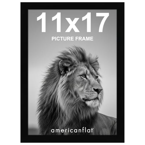 Americanflat 11x17 Picture Frame with Shatter-Resistant Glass - Signature Collection - Gallery-Style Frames Made of Engineered Wood - Photo Frame for Wall Display - Black