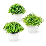 PASCH® Lot de 3 mini plantes artificielles (13 cm) dans des pots en céramique blanches | Mini buis artificiel | Plantes artificielles en pot | Faux plante | Fleurs artificielles en pot | Plante