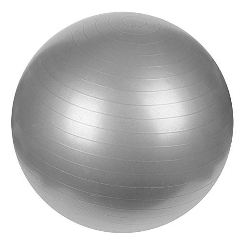 LifeSport Anti Burst Gym Ball Fitness Yoga Exercise Home Pregnancy Birthing Ball (Size 65cm)