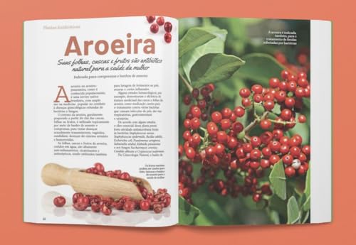 Plantas Antibióticas