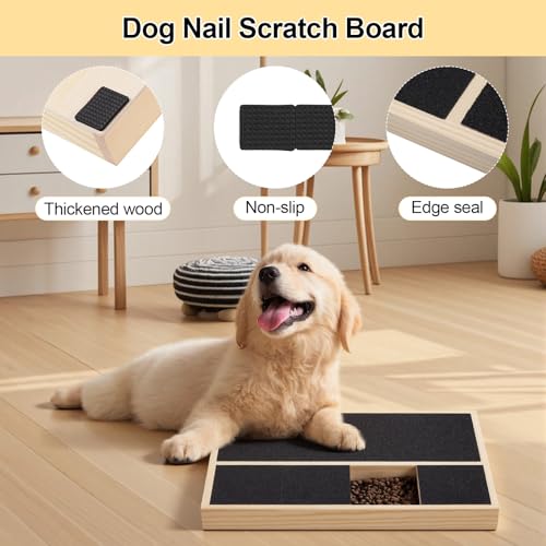 Starvortex Kratzbrett Hund, 35 x 25 x 3 cm Dog Nail Scratch Board mit Snack-Box, Holz Krallenschleifer für Hunde Board mit Sandpapierbrett, Kratzbrett für Hunde, Alternative Krallenschleifer