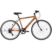 Panther 店頭試乗用自転車 シティサイクル 26インチ Panther 店頭試乗用自転車 シティサイクル 26インチ Orange