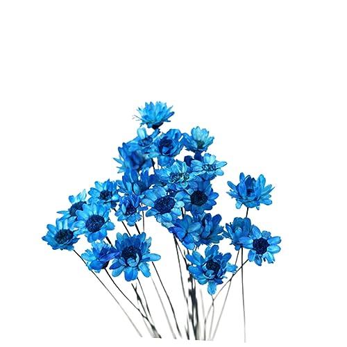 Ramo Seco de Margarita 30pcs para Decoración miniatura 1