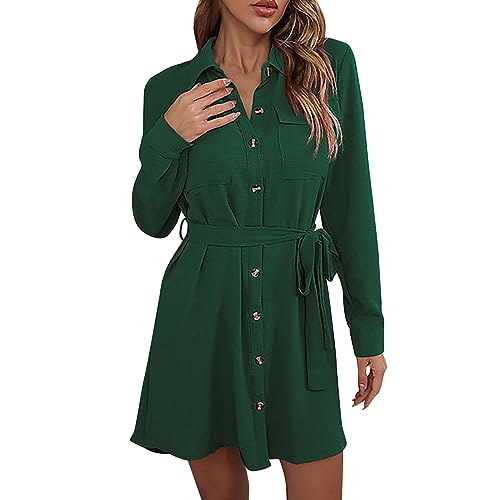 Robe de cocktail droite GN2 à manches longues pour l'automne