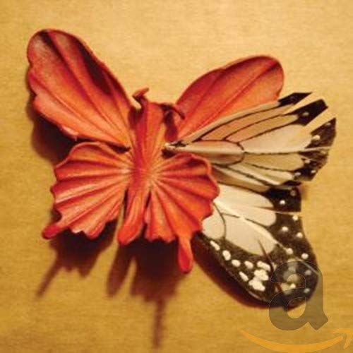 We Made This Ourselves