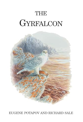 The Gyrfalcon view 2