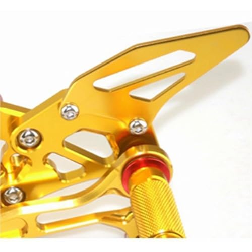 Repose-Pieds Arrière Moto pour S'évader en Duo sur GSXR 750 600