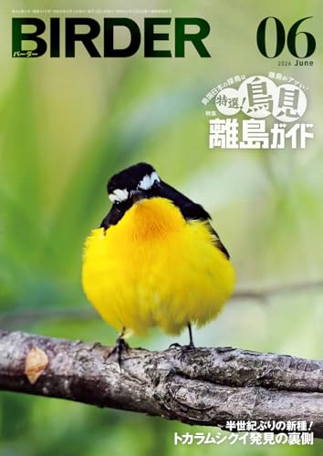 BIRDER（バーダー）2026年6月号　特選！鳥見離島ガイド