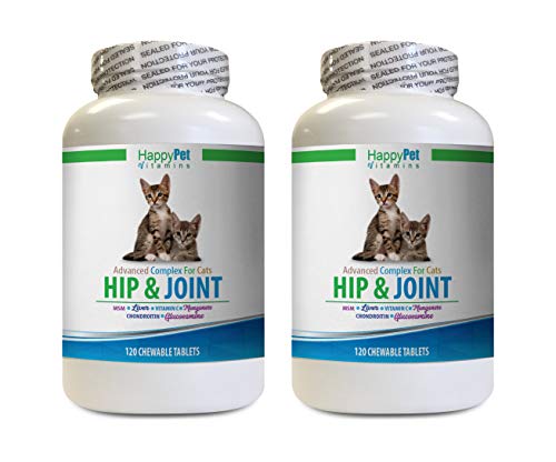chondroitin for cats