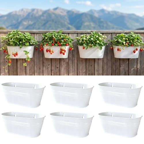 LaLaGreen Hanging Wall Planter (11.8 in, 6 Pack) White Metal Plant Shelf