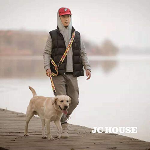 最安値 Jc House 多機能リード 6ways 犬用リード ハンズフリー 肩掛け リード 多頭引き 安全3 5cmスーパー幅のデザイン 長さ250cm 散歩 カジュアル おしゃれ カラフル ファッションリード 大型犬 小型犬 中型犬 訓練 トレーニング Painterオレンジの価格比較