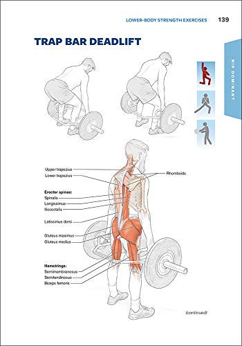 Functional Training Anatomy - Image 6