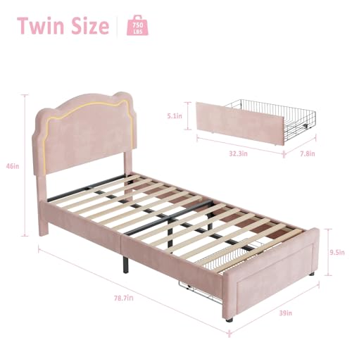 Image of Velvet Upholstered Princess Bed Frame with RGB LED Smart Light, Adjustable Bear Headboard, Wooden Slat Support, No Box Spring Needed, Noise-Free, Easy Assembly, Twin Size for Kids, Twin Pink