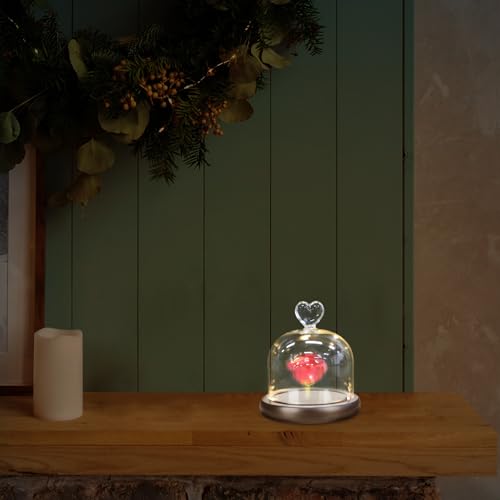 Flor preservada en cúpula de vidrio con luces creativas para centro de mesa y hogar 6