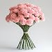 GlobalRose 200 Fresh Cut Pink Carnations - Fresh Flowers Wholesale Express Delivery