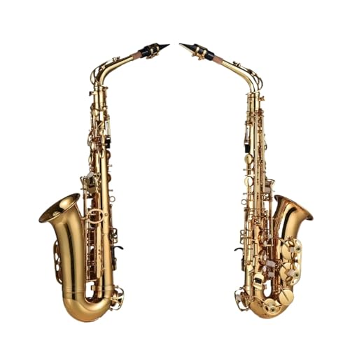 TN\tHy Eb Alto Saxophone Brass Paint 802 L[^Cv TbNXy ANZT[t vtFbViptH[}X