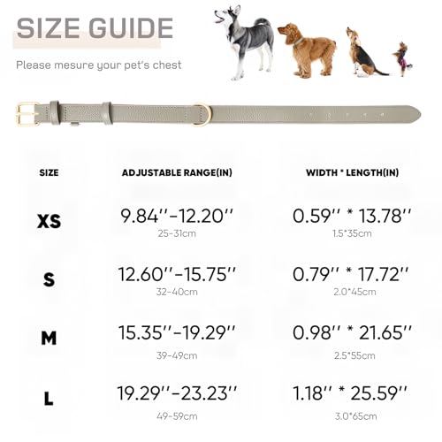 HEELE Hundehalsband Leder Hundehalsband mit gepolstert und echtes Leder, Verstellbar, Halsband für Welpen Kleine Mittel Große Hunde, Neu-Grau, S