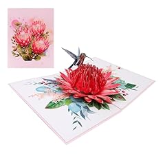 Waratah flowers and Hummingbird