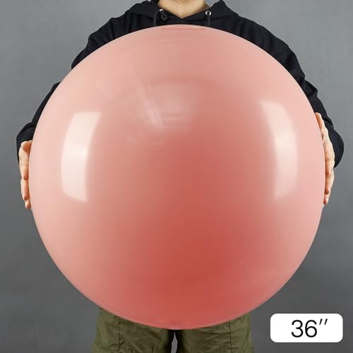 Image of PartyWoo Dusty Pink Balloons 4pcs 36 Inch Blush Pink Dusty Rose Boho Netural Latex Helium Balloons for Wedding Baby Shower Anniversary Princess Girl Birthday Party Butterfly Theme Decorations Pink-F01