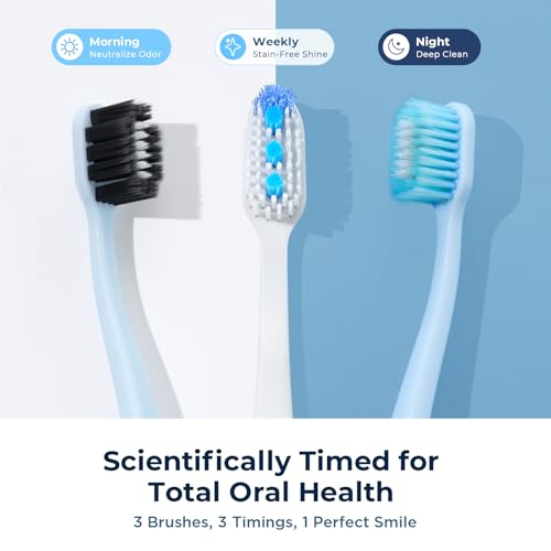 Image of Soft Toothbrushes for Morning Freshness & Night Cleanliness -10000+ Soft Bristle Toothbrush for Sensitive Gums|Medium Toothbrushes for Deep Plaque Removal, Daily Clean & Weekly Brightening